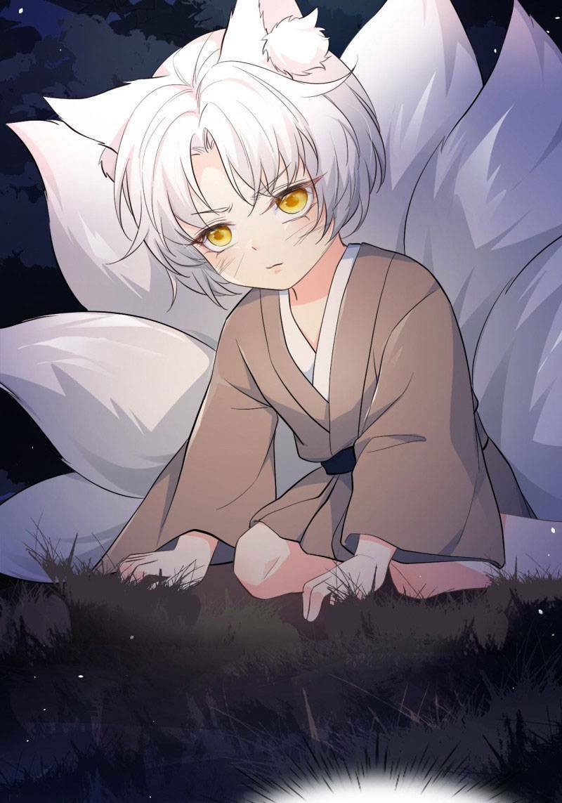 Tiểu Hồ Ly Hôm Nay Có Chút Ngoan Chapter 1 - Trang 2