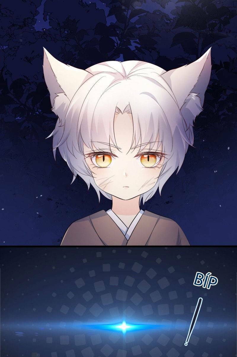 Tiểu Hồ Ly Hôm Nay Có Chút Ngoan Chapter 1 - Trang 2