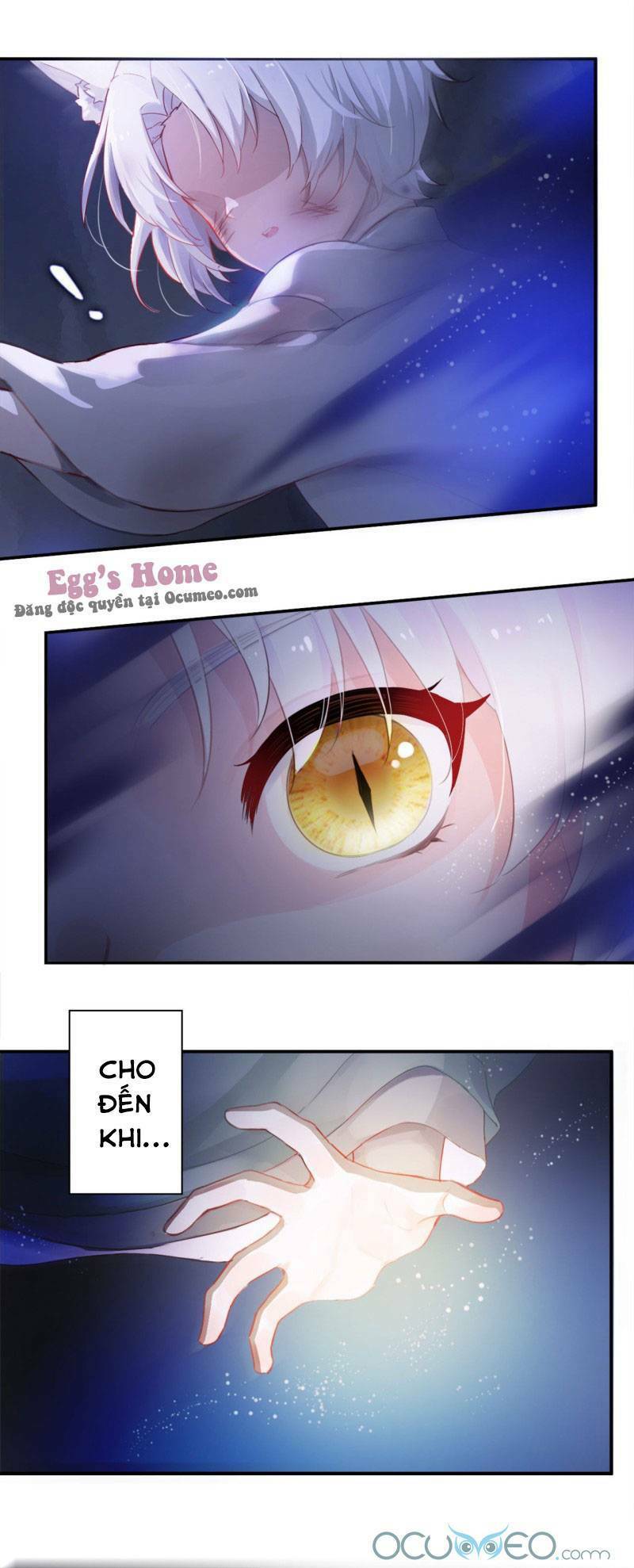 Tiểu Hồ Ly Hôm Nay Có Chút Ngoan Chapter 1 - Trang 2