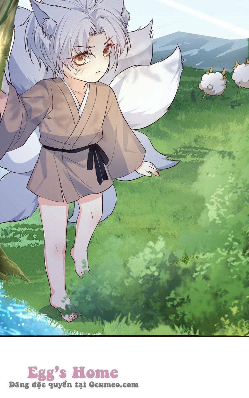 Tiểu Hồ Ly Hôm Nay Có Chút Ngoan Chapter 2 - Trang 2