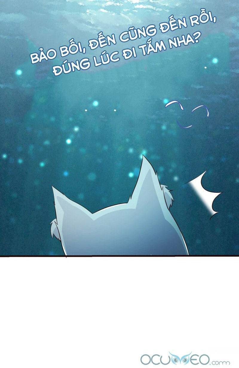 Tiểu Hồ Ly Hôm Nay Có Chút Ngoan Chapter 2 - Trang 2