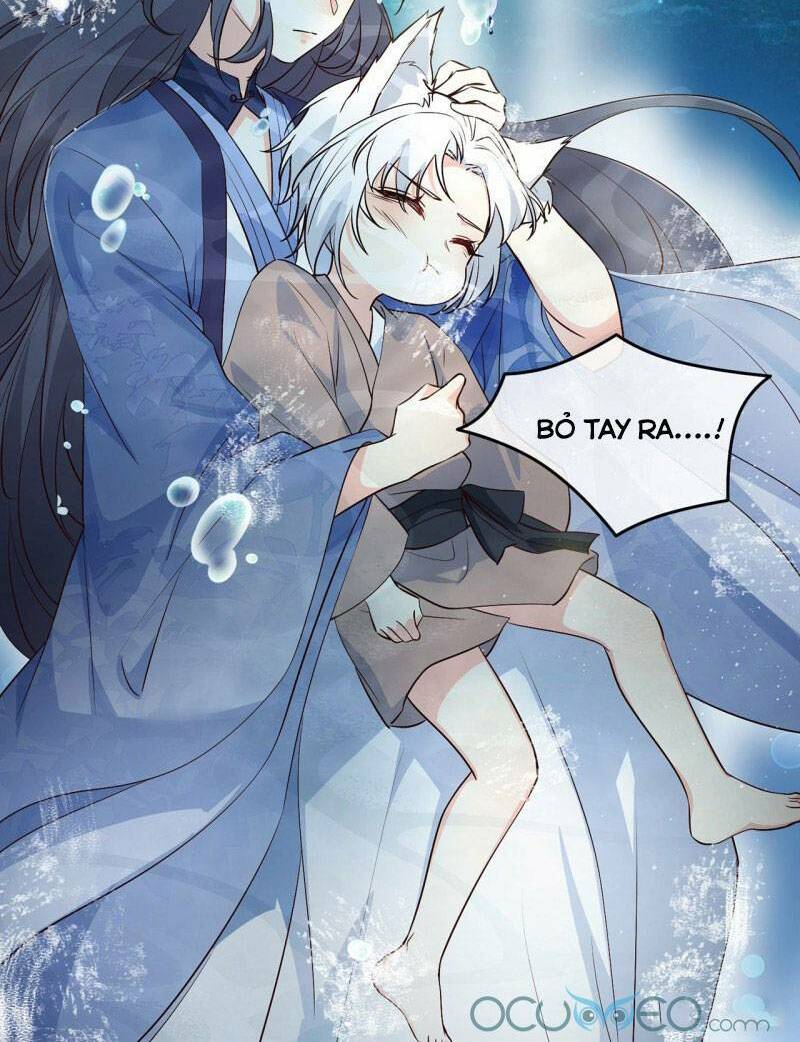 Tiểu Hồ Ly Hôm Nay Có Chút Ngoan Chapter 2 - Trang 2