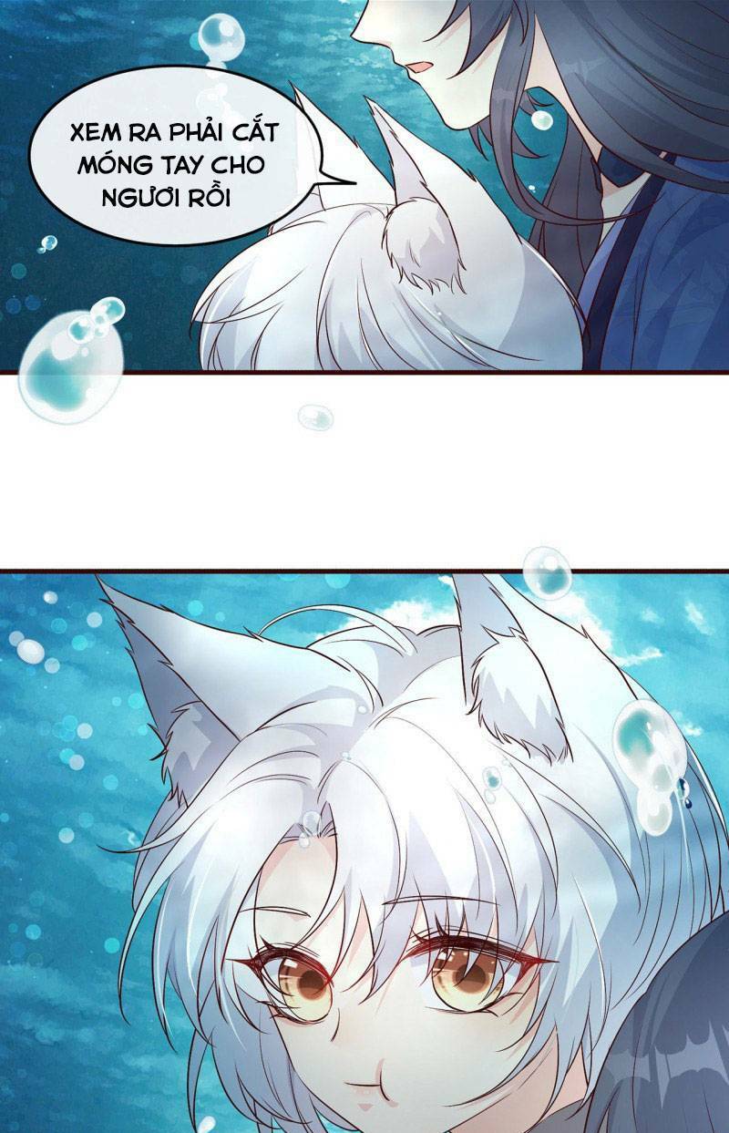 Tiểu Hồ Ly Hôm Nay Có Chút Ngoan Chapter 2 - Trang 2