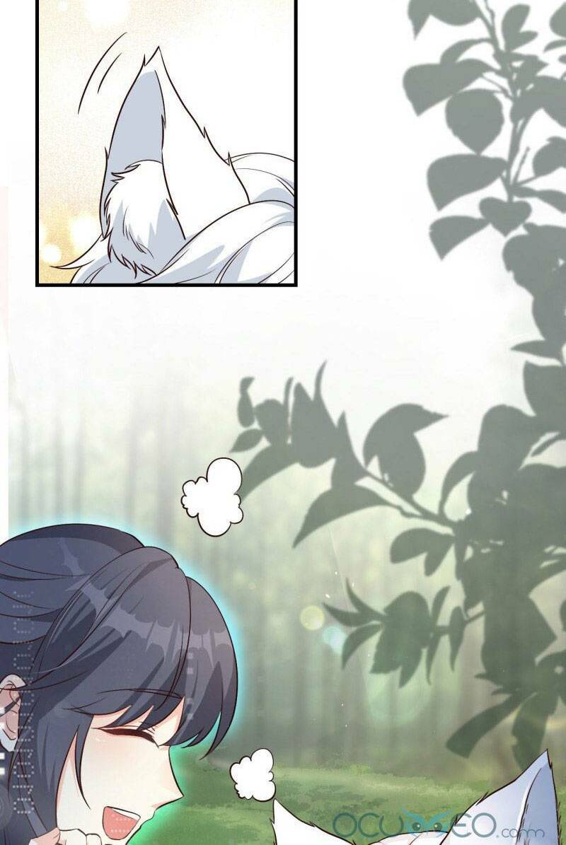 Tiểu Hồ Ly Hôm Nay Có Chút Ngoan Chapter 3 - Trang 2