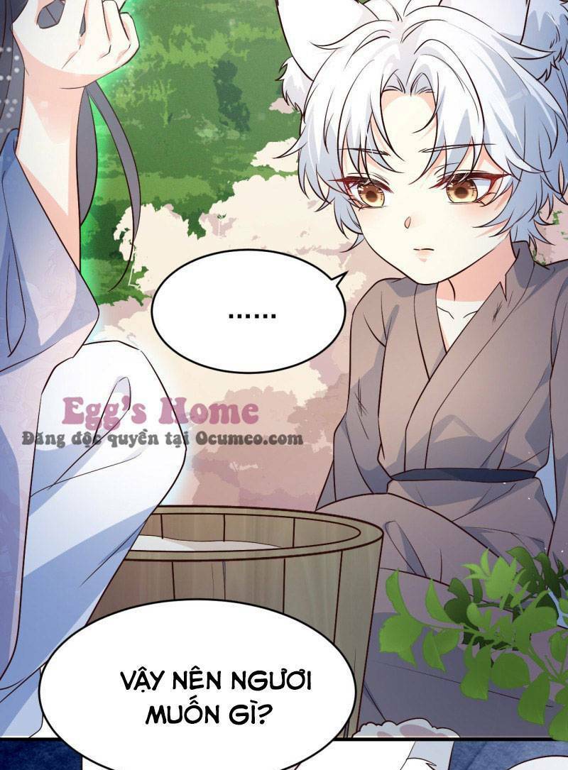 Tiểu Hồ Ly Hôm Nay Có Chút Ngoan Chapter 3 - Trang 2