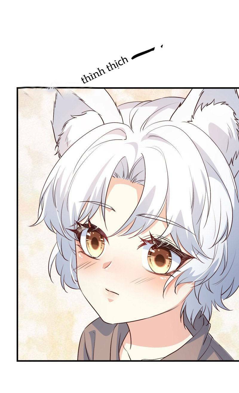 Tiểu Hồ Ly Hôm Nay Có Chút Ngoan Chapter 3 - Trang 2