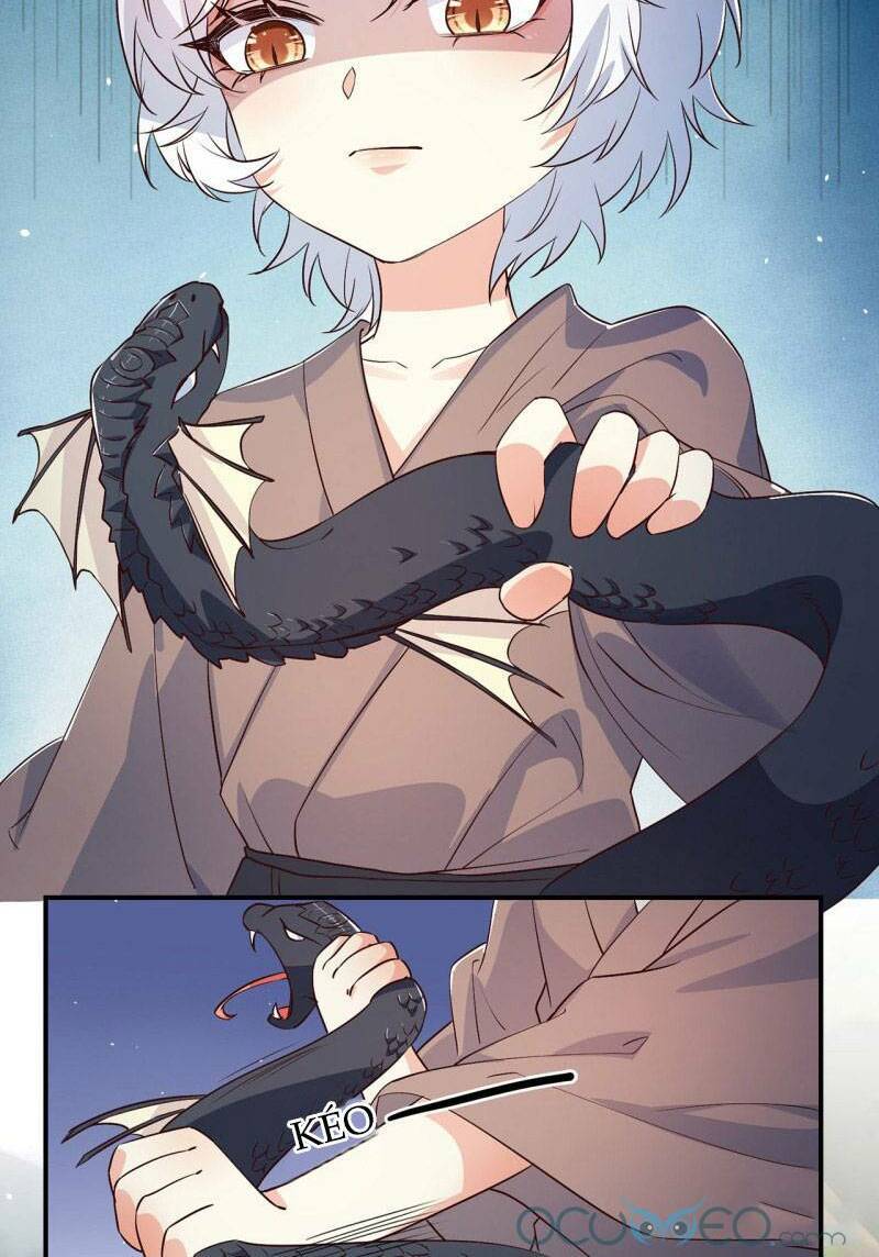 Tiểu Hồ Ly Hôm Nay Có Chút Ngoan Chapter 3 - Trang 2