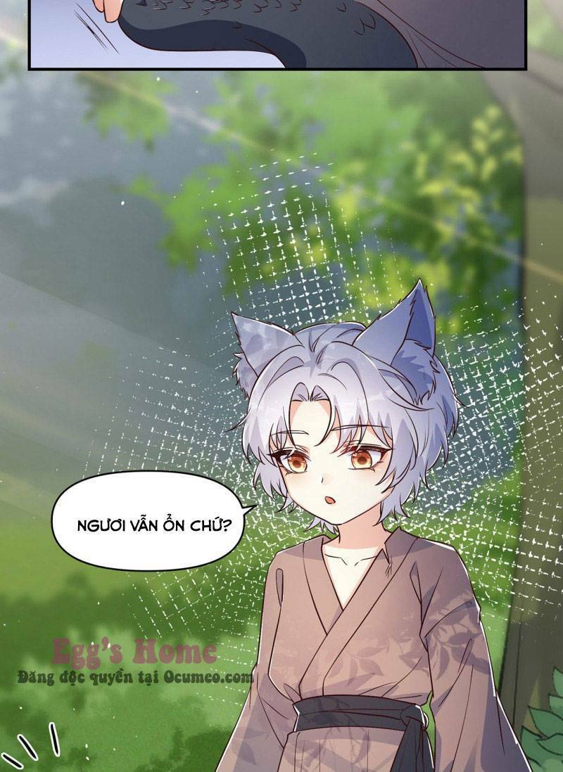 Tiểu Hồ Ly Hôm Nay Có Chút Ngoan Chapter 3 - Trang 2