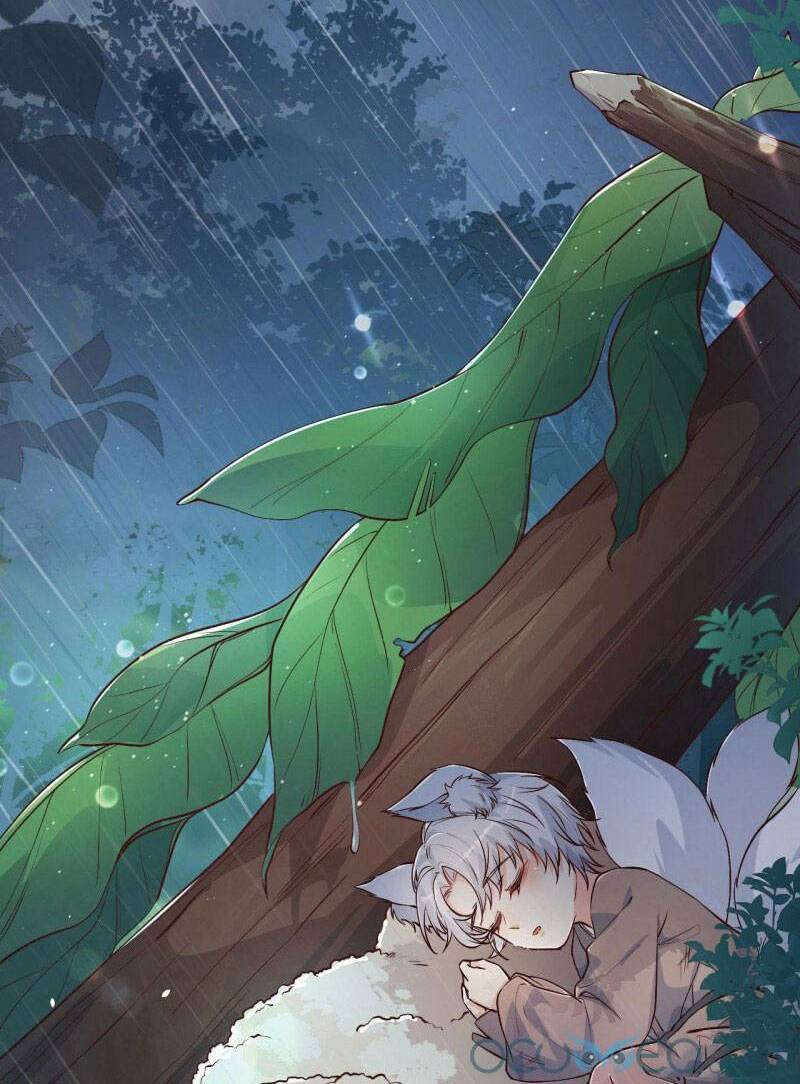 Tiểu Hồ Ly Hôm Nay Có Chút Ngoan Chapter 3 - Trang 2