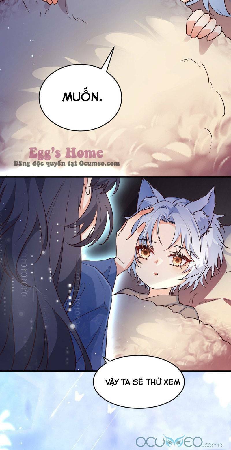 Tiểu Hồ Ly Hôm Nay Có Chút Ngoan Chapter 4 - Trang 2