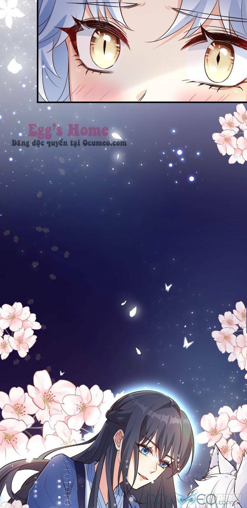 Tiểu Hồ Ly Hôm Nay Có Chút Ngoan Chapter 4 - Trang 2