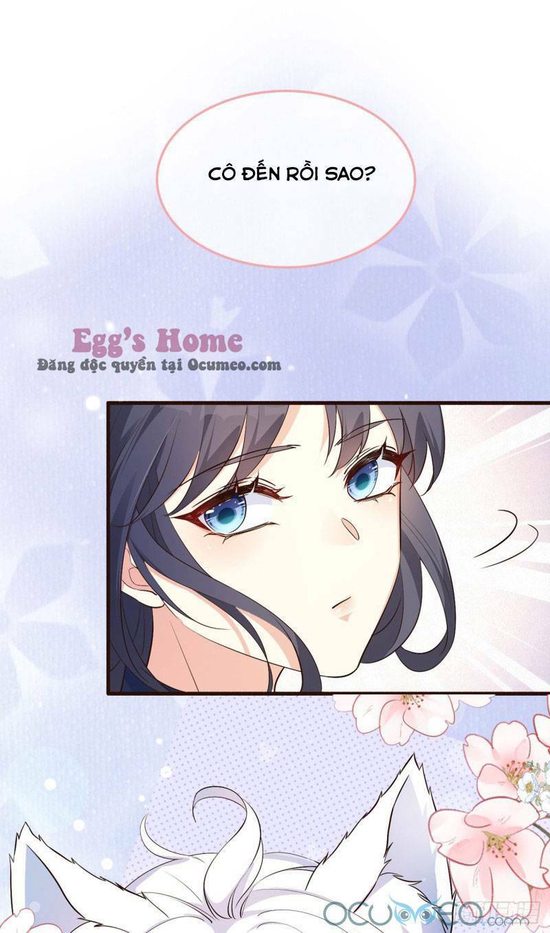 Tiểu Hồ Ly Hôm Nay Có Chút Ngoan Chapter 4 - Trang 2