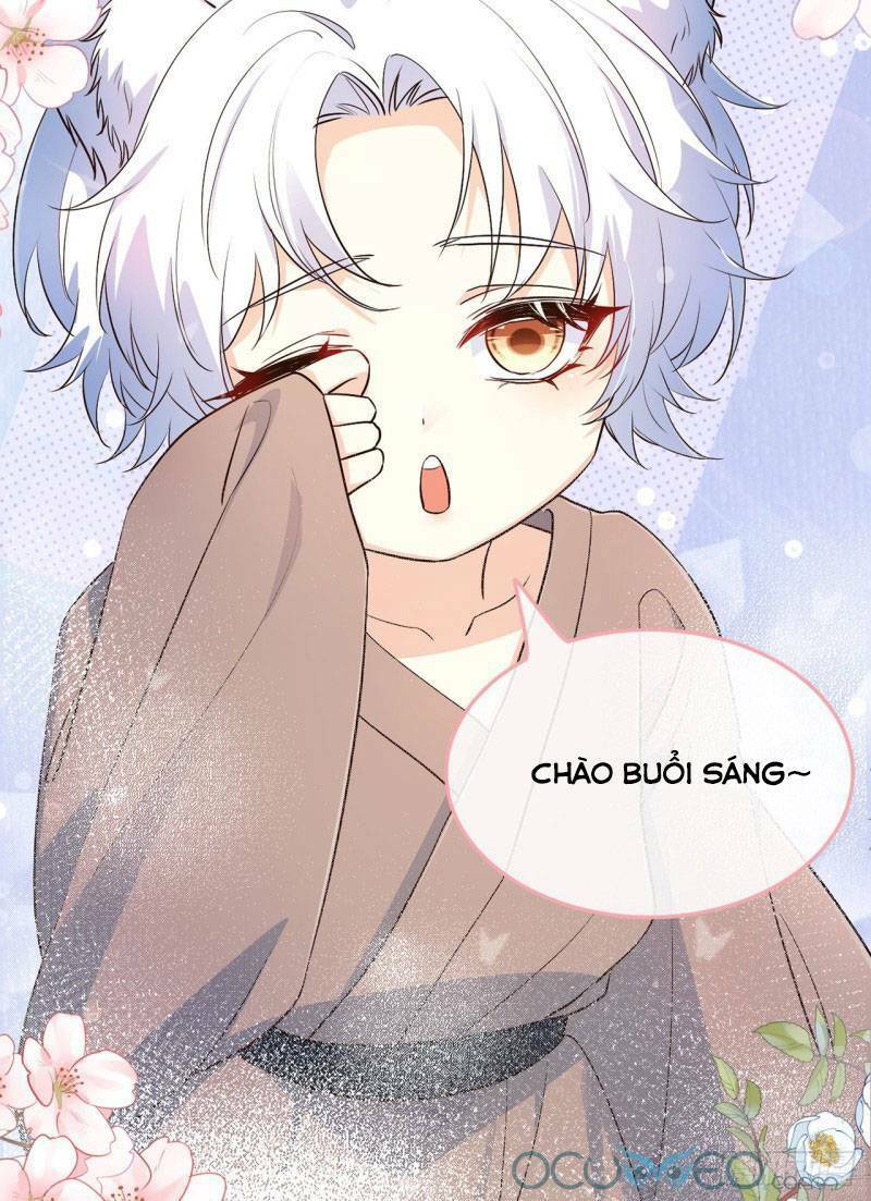 Tiểu Hồ Ly Hôm Nay Có Chút Ngoan Chapter 4 - Trang 2