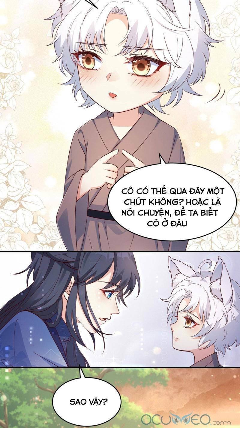 Tiểu Hồ Ly Hôm Nay Có Chút Ngoan Chapter 5 - Trang 2