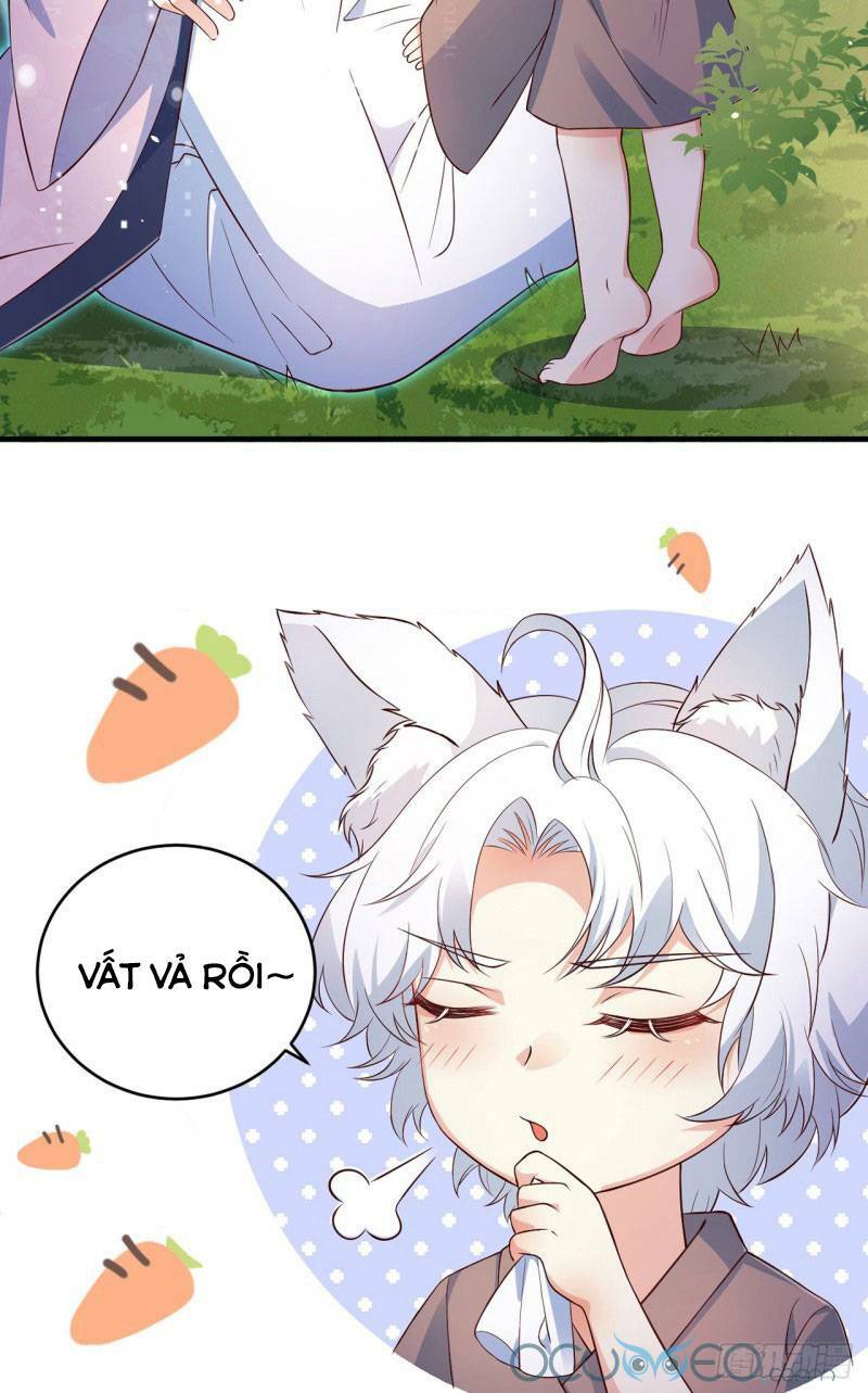 Tiểu Hồ Ly Hôm Nay Có Chút Ngoan Chapter 5 - Trang 2