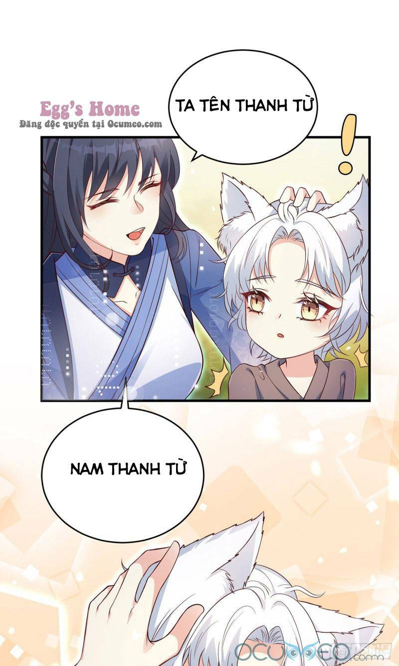 Tiểu Hồ Ly Hôm Nay Có Chút Ngoan Chapter 5 - Trang 2