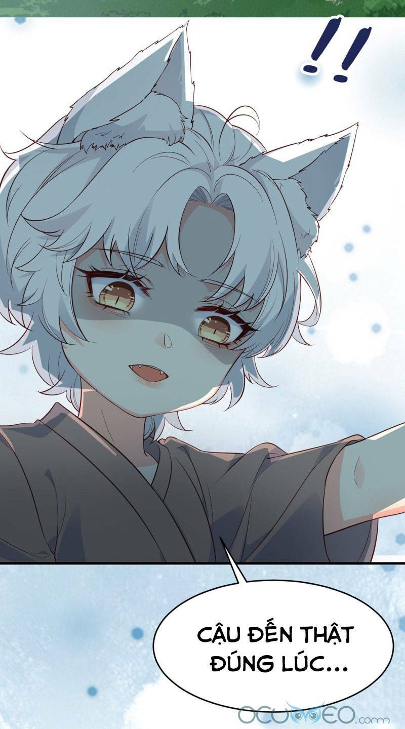 Tiểu Hồ Ly Hôm Nay Có Chút Ngoan Chapter 5 - Trang 2