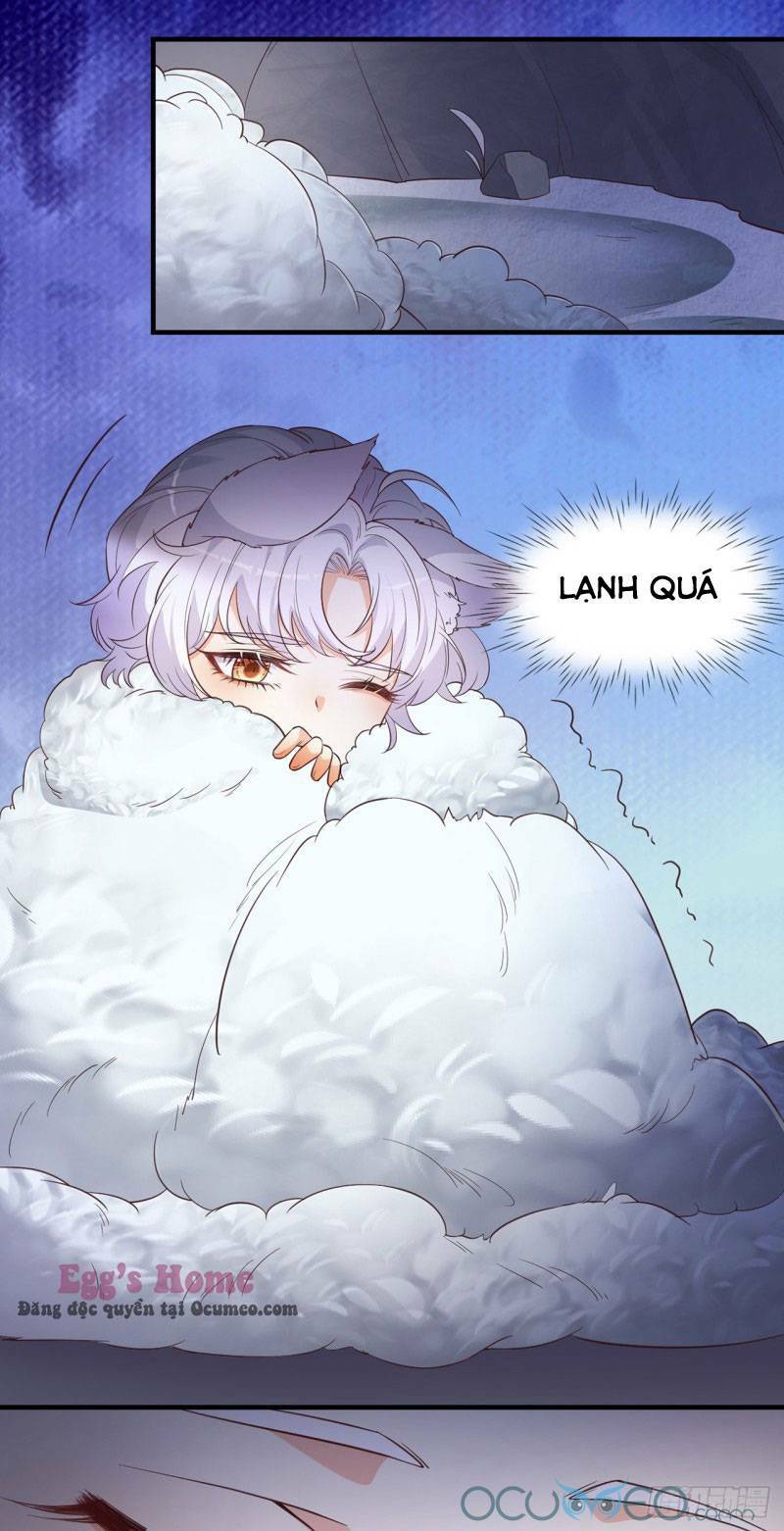 Tiểu Hồ Ly Hôm Nay Có Chút Ngoan Chapter 6 - Trang 2