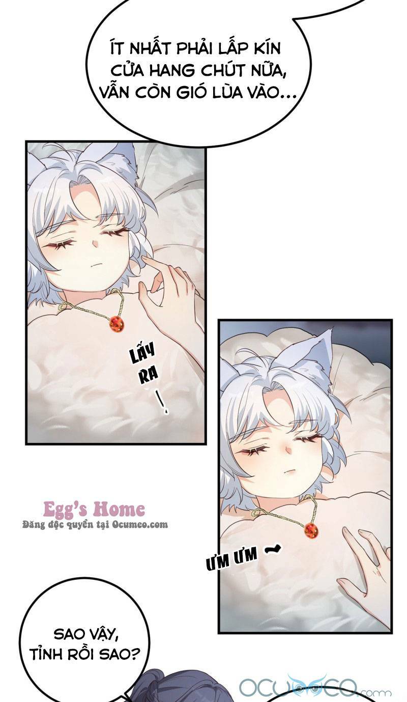 Tiểu Hồ Ly Hôm Nay Có Chút Ngoan Chapter 6 - Trang 2