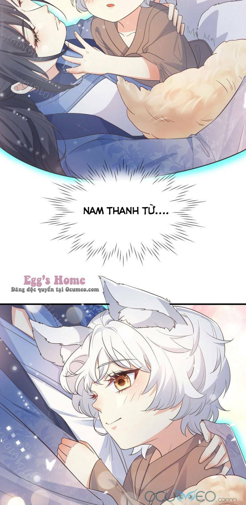 Tiểu Hồ Ly Hôm Nay Có Chút Ngoan Chapter 6 - Trang 2