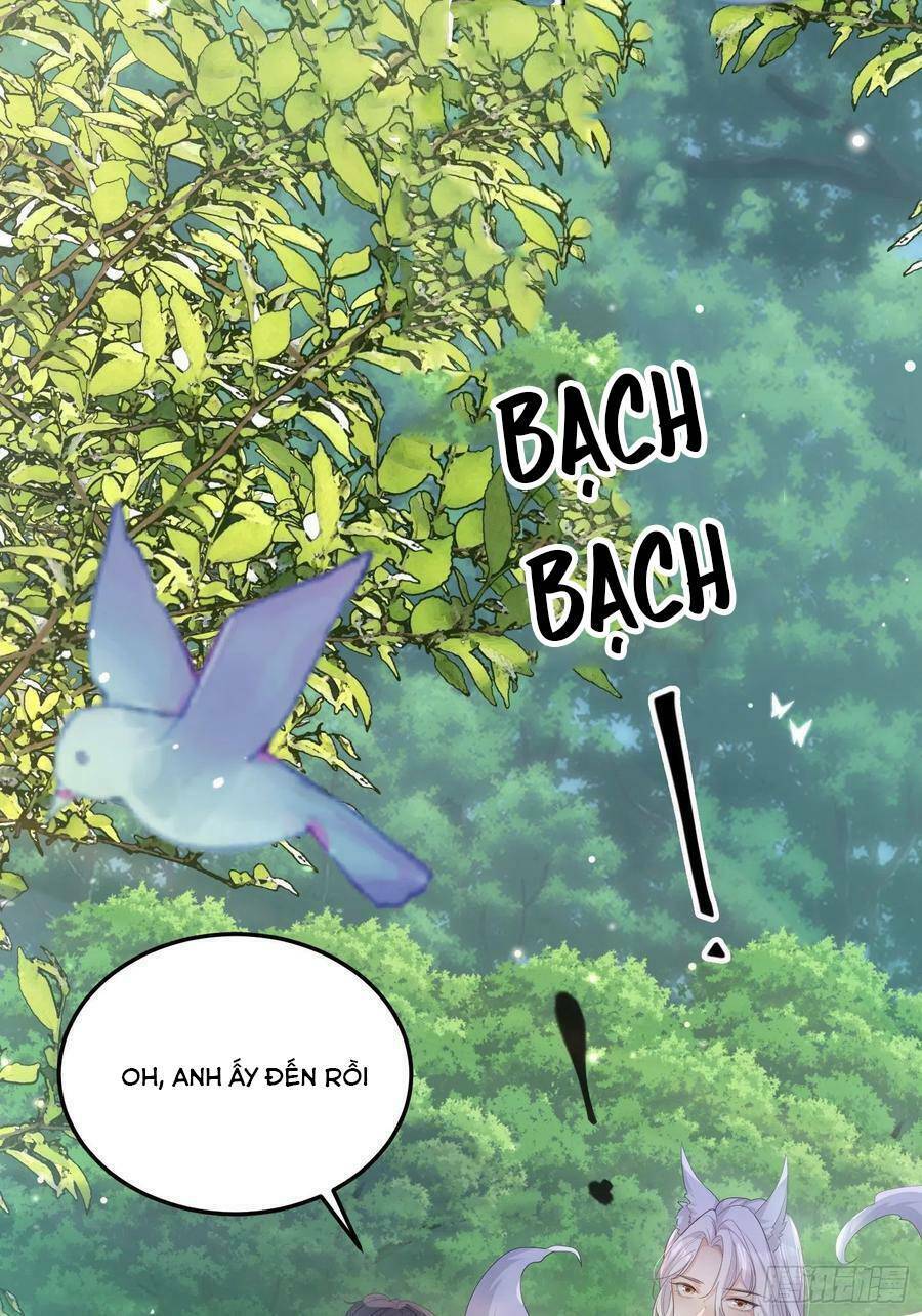 Tiểu Hồ Ly Hôm Nay Có Chút Ngoan Chapter 67 - Trang 2