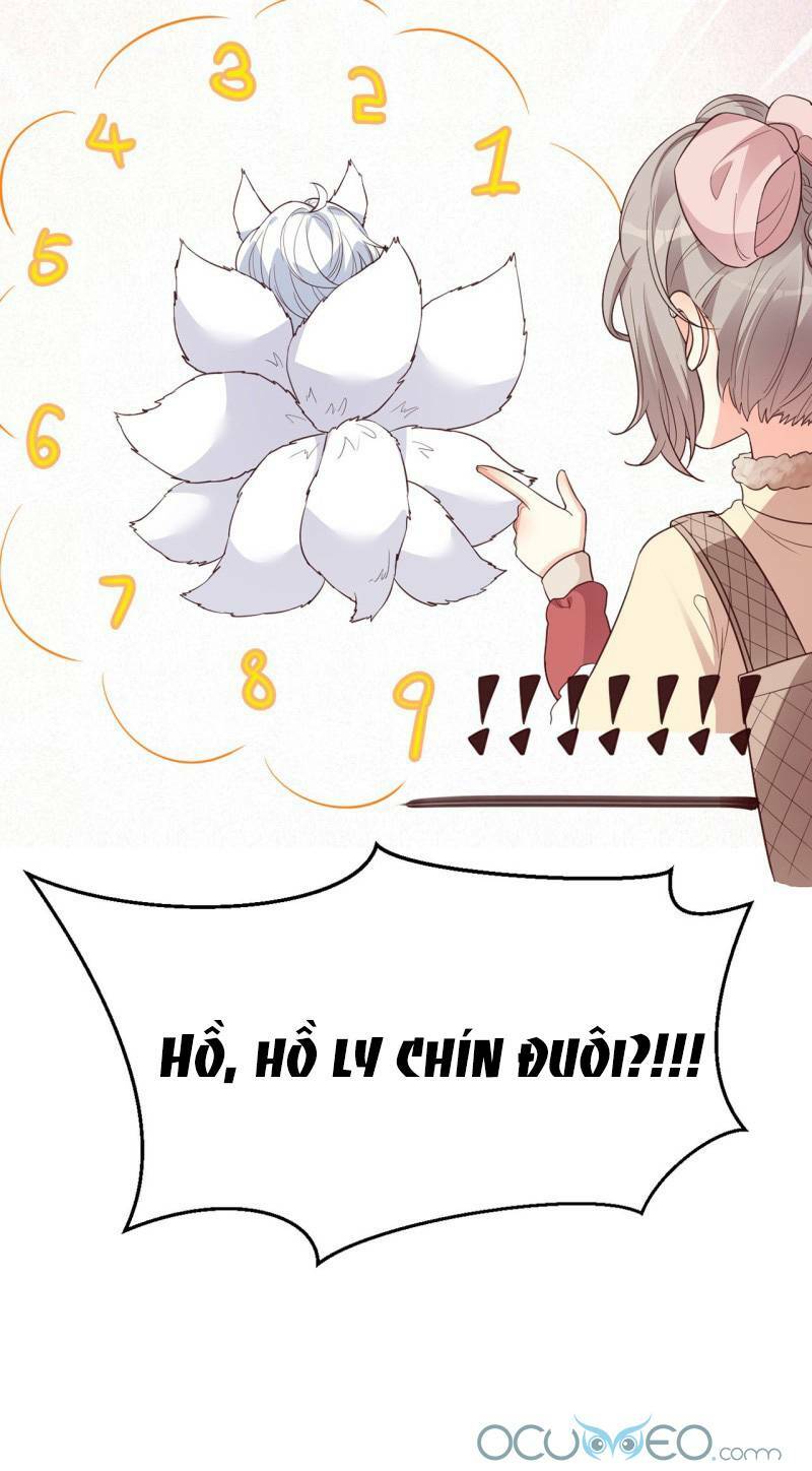 Tiểu Hồ Ly Hôm Nay Có Chút Ngoan Chapter 7 - Trang 2