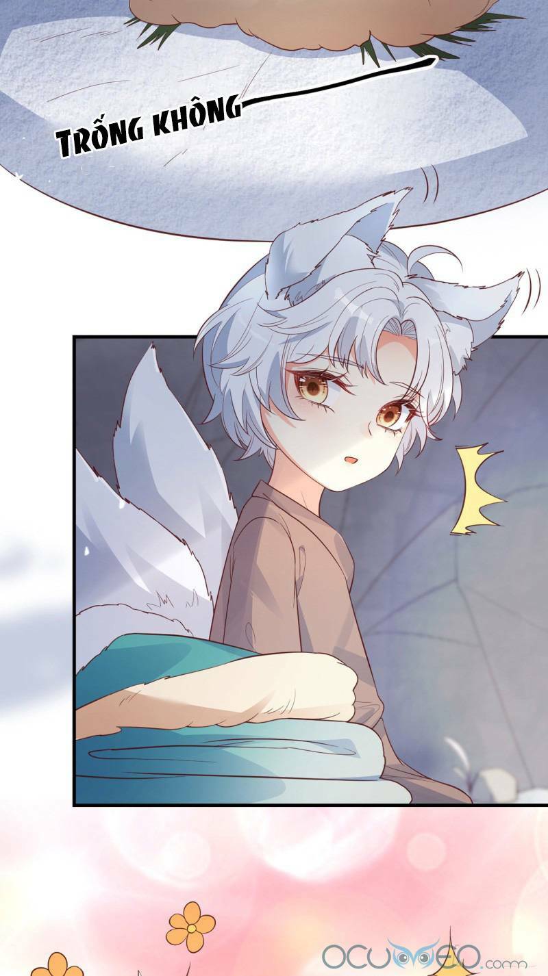 Tiểu Hồ Ly Hôm Nay Có Chút Ngoan Chapter 7 - Trang 2