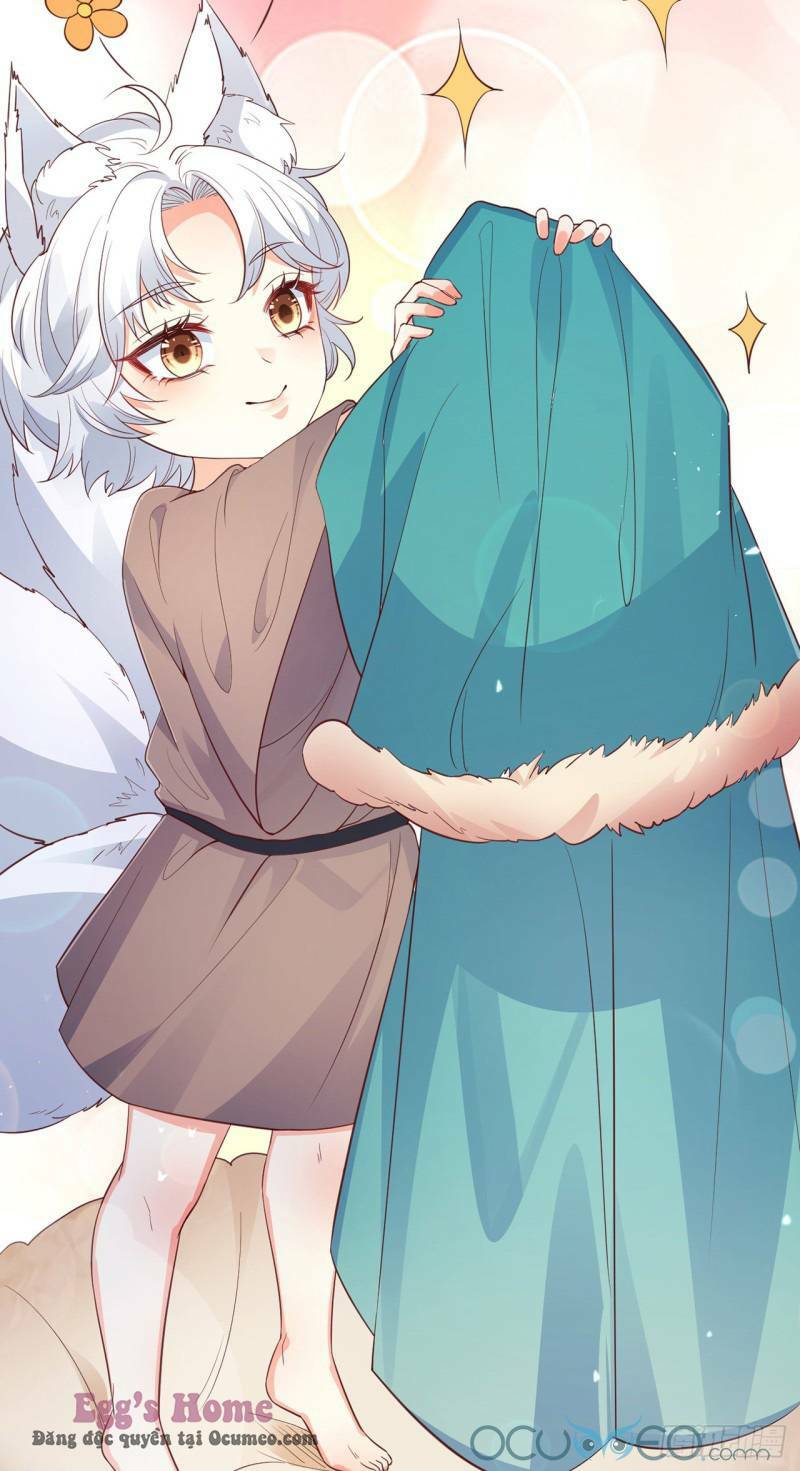 Tiểu Hồ Ly Hôm Nay Có Chút Ngoan Chapter 7 - Trang 2