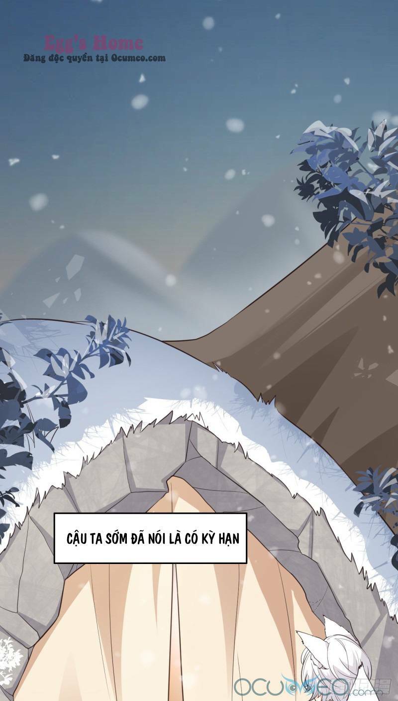 Tiểu Hồ Ly Hôm Nay Có Chút Ngoan Chapter 8 - Trang 2