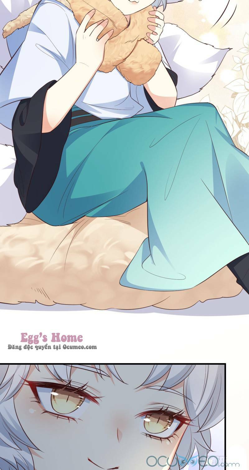 Tiểu Hồ Ly Hôm Nay Có Chút Ngoan Chapter 8 - Trang 2