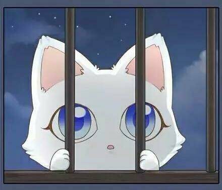 Tiểu Hồ Ly Vs Tiểu Hóa Thượng Chapter 11 - Trang 2