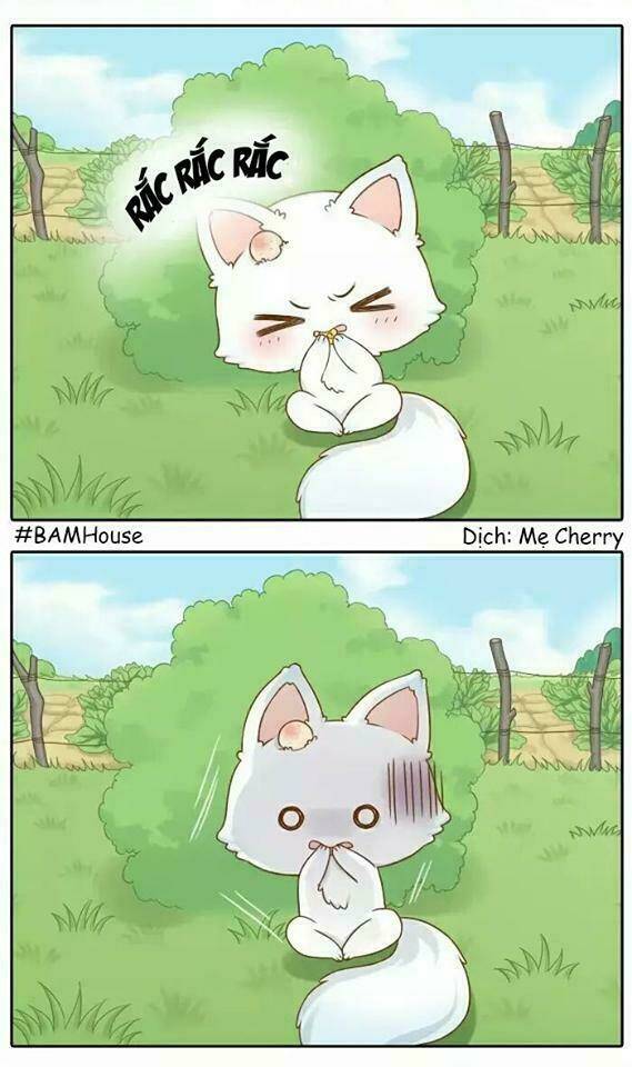 Tiểu Hồ Ly Vs Tiểu Hóa Thượng Chapter 12 - Trang 2