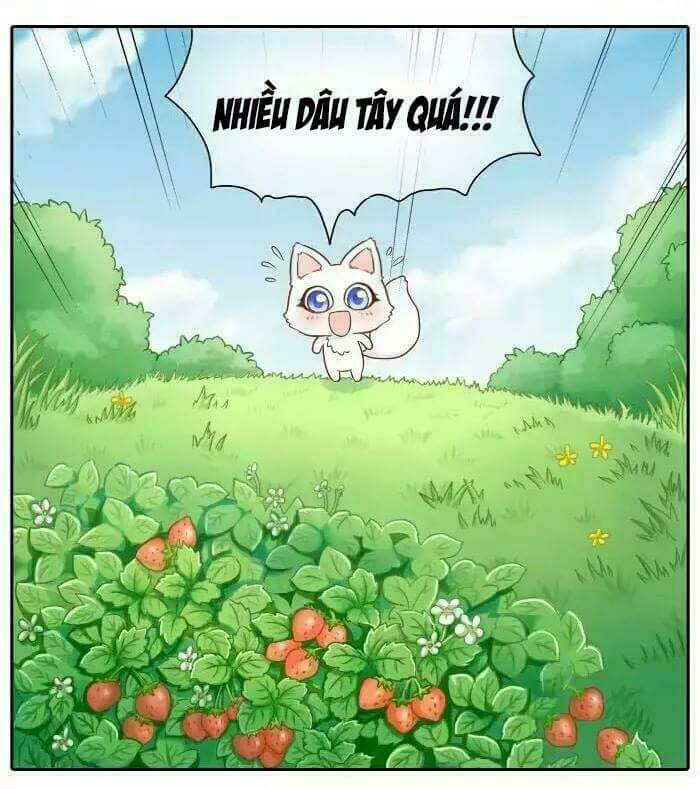 Tiểu Hồ Ly Vs Tiểu Hóa Thượng Chapter 14 - Trang 2