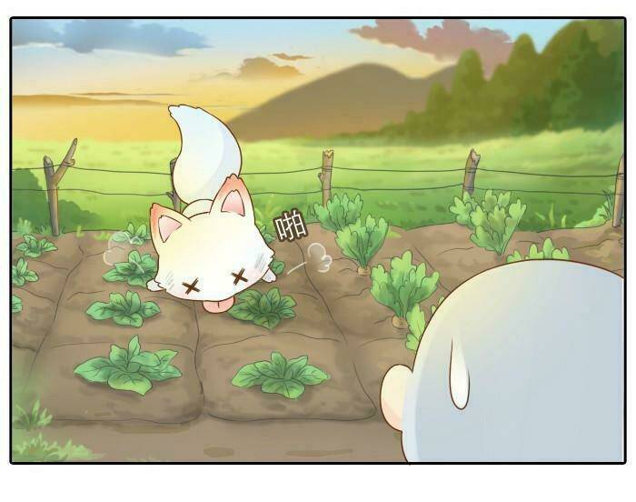 Tiểu Hồ Ly Vs Tiểu Hóa Thượng Chapter 3 - Trang 2