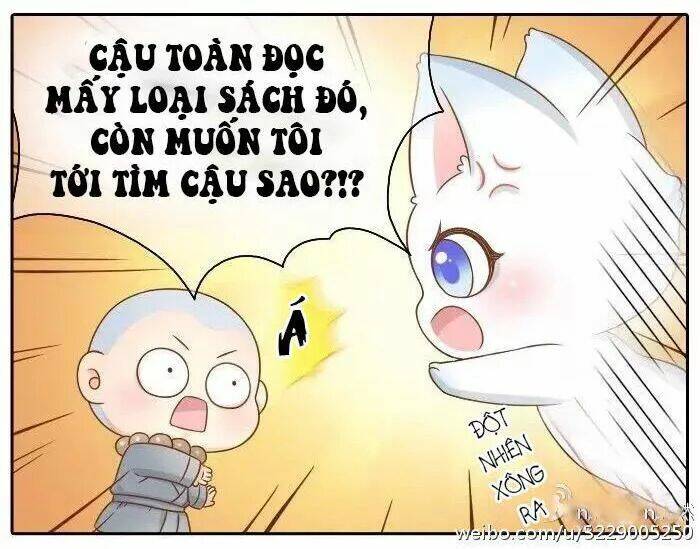 Tiểu Hồ Ly Vs Tiểu Hóa Thượng Chapter 36 - Trang 2