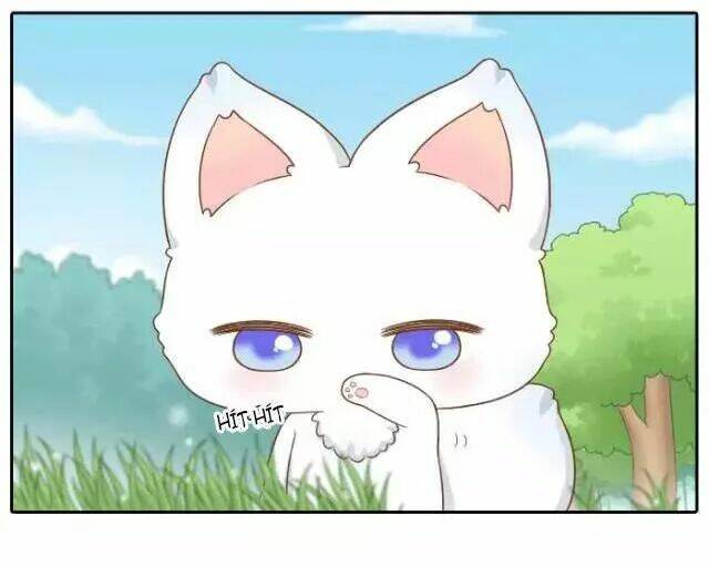 Tiểu Hồ Ly Vs Tiểu Hóa Thượng Chapter 42 - Trang 2