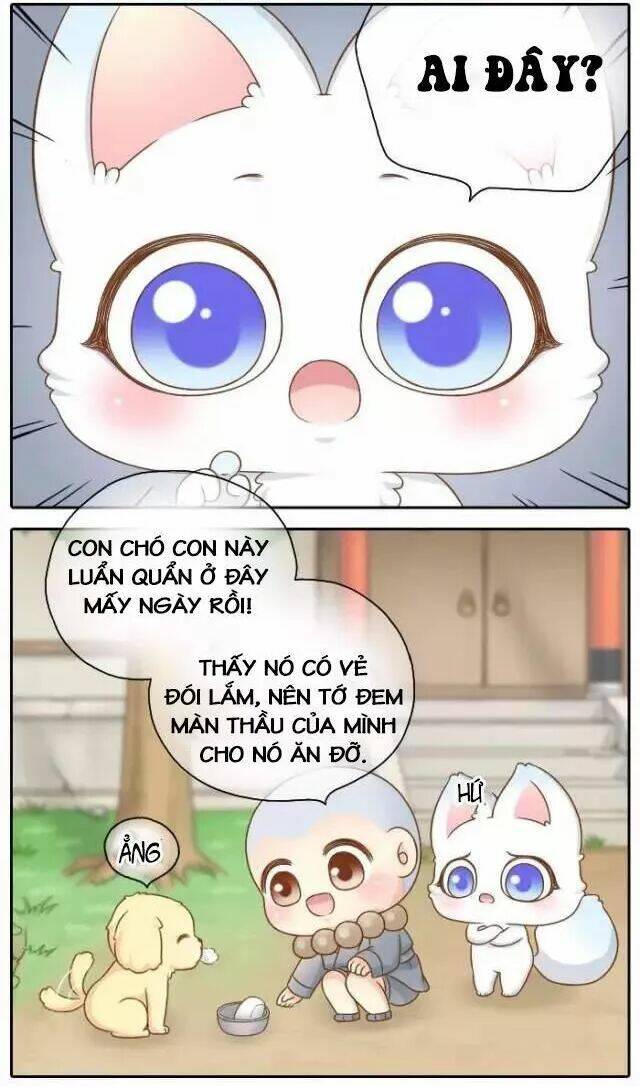 Tiểu Hồ Ly Vs Tiểu Hóa Thượng Chapter 46 - Trang 2