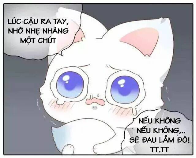 Tiểu Hồ Ly Vs Tiểu Hóa Thượng Chapter 51 - Trang 2