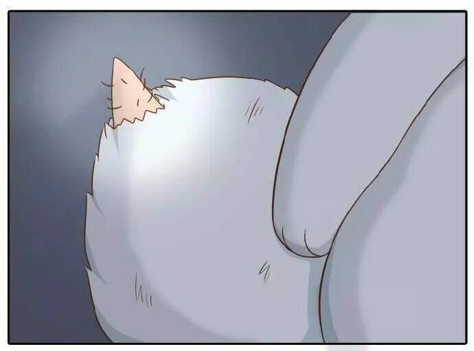 Tiểu Hồ Ly Vs Tiểu Hóa Thượng Chapter 56 - Trang 2