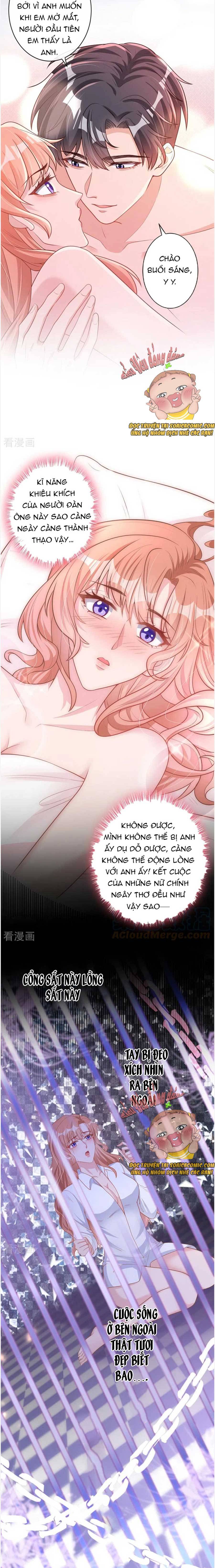 Tiểu Kiều Thê Thuần Phục Dã Thú Tổng Tài Chapter 36 - Trang 2