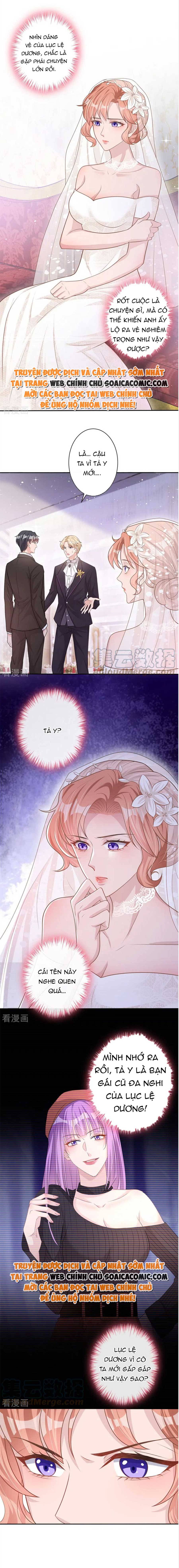 Tiểu Kiều Thê Thuần Phục Dã Thú Tổng Tài Chapter 41 - Trang 2