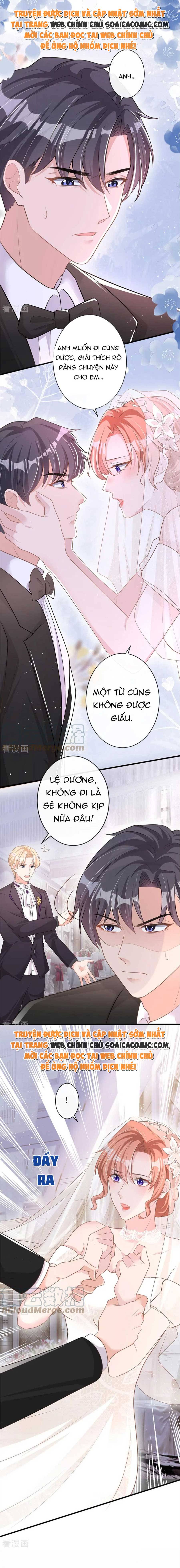 Tiểu Kiều Thê Thuần Phục Dã Thú Tổng Tài Chapter 41 - Trang 2