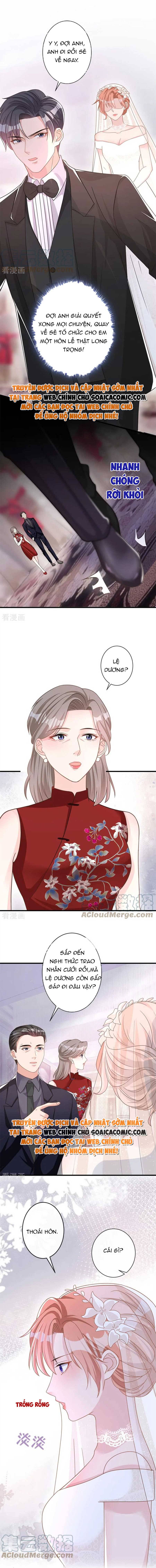 Tiểu Kiều Thê Thuần Phục Dã Thú Tổng Tài Chapter 41 - Trang 2