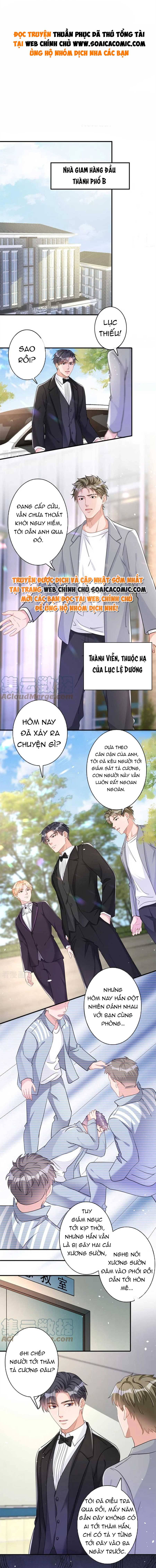 Tiểu Kiều Thê Thuần Phục Dã Thú Tổng Tài Chapter 42 - Trang 2