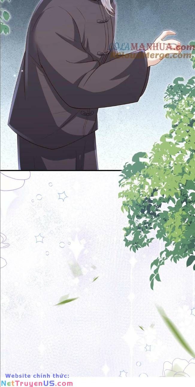 Tiểu Manh Bảo Bốn Tuổi Theo Sư Phụ Xuống Núi Chapter 170 - Trang 2