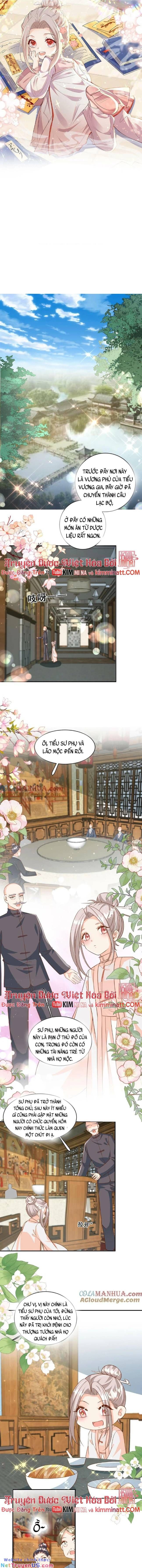 Tiểu Manh Bảo Bốn Tuổi Theo Sư Phụ Xuống Núi Chapter 174 - Trang 2