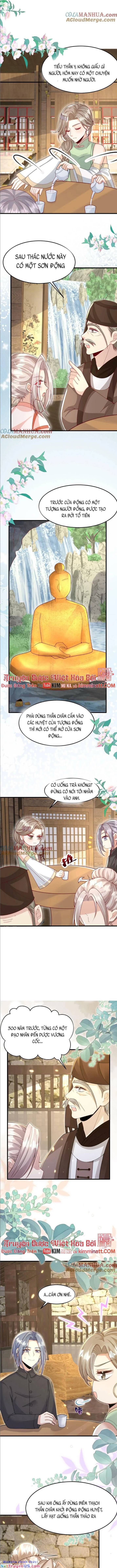 Tiểu Manh Bảo Bốn Tuổi Theo Sư Phụ Xuống Núi Chapter 215 - Trang 2