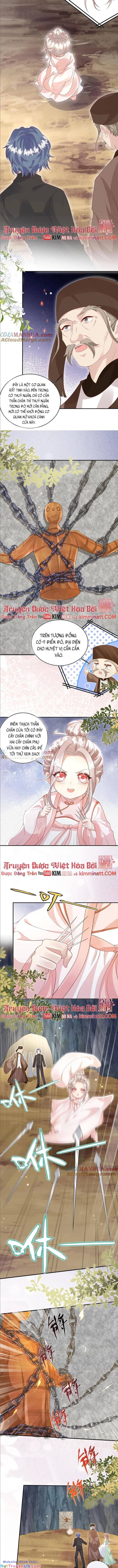 Tiểu Manh Bảo Bốn Tuổi Theo Sư Phụ Xuống Núi Chapter 216 - Trang 2