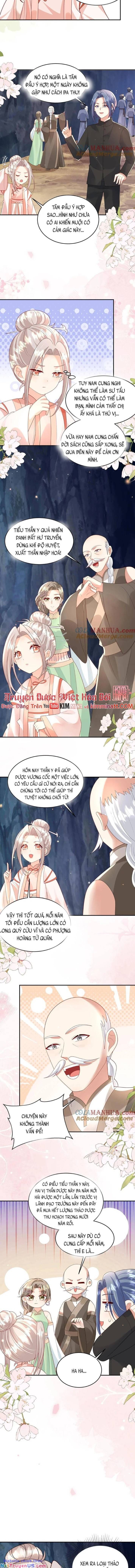 Tiểu Manh Bảo Bốn Tuổi Theo Sư Phụ Xuống Núi Chapter 217 - Trang 2