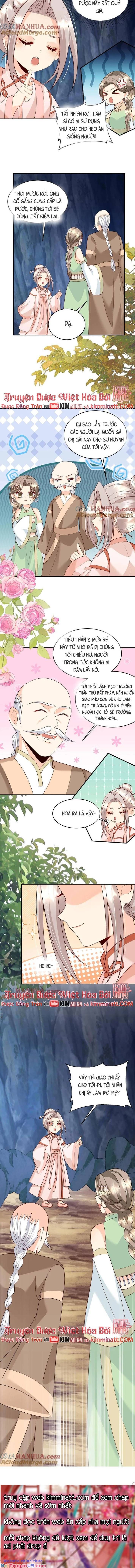 Tiểu Manh Bảo Bốn Tuổi Theo Sư Phụ Xuống Núi Chapter 217 - Trang 2